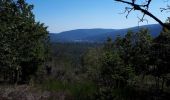 Tour Wandern Urmatt - Urmatt Cascade du Soultzbach - Photo 1