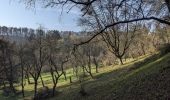 Percorso A piedi Žernov - NS Jakuba Míly - Photo 2