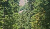 Tour Wandern Großmenglatt - Rando des Marcheurs du 7 Août 2025..Grosmagny - Photo 16