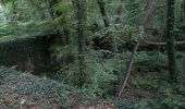 Trail Walking Compiègne - Randonnée en Forêt de Compiègne_51_le Mont du Tremble et les Beaux Monts - Photo 7