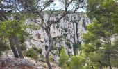 Trail Walking Cassis - Calanques de Port Miou, Port Pin et d'En Vau - Photo 7