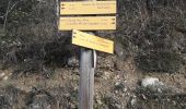 Trail Walking Saint-Vincent-la-Commanderie - le champ des pins St Vincent la commanderie  - Photo 6