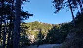 Tocht Noords wandelen Saint-Étienne-de-Gourgas - Forêt de Notre-Dame de Parlatge - Photo 8