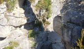 Tour Wandern Trigance - LE pont du Sautet,de Carajuan et le belvédère des vautours - Photo 6