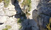 Excursión Senderismo Trigance - LE pont du Sautet,de Carajuan et le belvédère des vautours - Photo 6