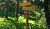 Randonnée Marche Vallorcine - Refuge de Pierre à Berard - Photo 3