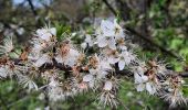 Tour Wandern Grez-Doiceau - #240405 - Grez, Morsaint, Biez, Stampia*** - Photo 1