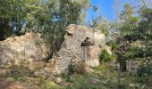 Tour Wandern Méounes-lès-Montrieux - Gouffre de Signoret - Méounes - Photo 1