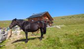 Tocht Stappen Urtijëi - St. Ulrich in Gröden - Ortisei - Raschötz Alm - Photo 4