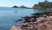 Trail Walking La Londe-les-Maures - Plage de l'Argentière à Cabasson en A/R-14-01-22 - Photo 12