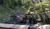 Randonnée Marche Allos - lac d'Allos. depuis la fontaine de Valplane - Photo 1