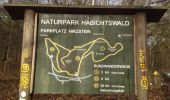 Trail On foot Unknown - Schauenburg, S13 - Photo 9