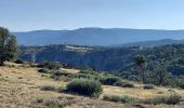 Tour Wandern Prévenchères - Gorges du Chassezac au départ de la Garde guérin  - Photo 15