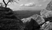 Randonnée Marche Roquebrune-sur-Argens - Cimetière de Roquebrune - Pont de Verne - Les 3 Croix - Photo 3