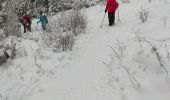 Tocht Sneeuwschoenen Villard-de-Lans - de l'eau - Photo 1