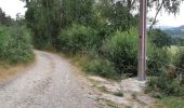 Trail Walking Le Malzieu-Ville - LE MALZIEU - APCHER  - Photo 2