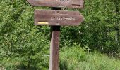 Trail Walking Jausiers - cascade Pissoun - Photo 2