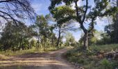 Randonnée Marche Cabasse - Autour de Cabasse - Photo 17