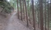 Trail Walking Jalhay - adeps sart 20 km bug - Photo 6