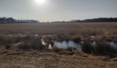 Tocht Stappen Emmen - Bargerveen - Photo 1