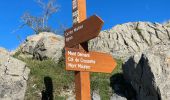 Trail Walking Péone - Mont Mounier - Photo 5