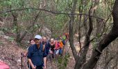 Excursión Senderismo Le Revest-les-Eaux - Le revest les eaux - Photo 1