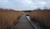 Tocht Stappen Monteux - lac de monteux  - Photo 3