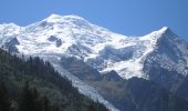 Trail On foot Chamonix-Mont-Blanc - Chalet des Pyramides - Photo 5