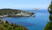 Randonnée Marche Ersa - Barcaggio - Sentier des Douaniers jusqu'à la Baie de Capandola - 7.7km 180m 2h10 - 2013 06 05 - Photo 5