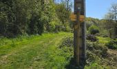 Randonnée Marche Valencisse - Valencisse-Molineuf - Circuit de Coquine - Photo 18