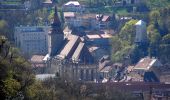 Tour Zu Fuß Kronstadt - Șaua Tâmpei - Valea Cetății - Poiana Brașov - Photo 9