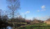 Trail On foot Wijdemeren - Ankeveense Plassen - Photo 3