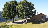 Tour Wandern Le Castellard-Mélan - AUTHON Fontbelle,  piste forestière du Pras au pied de Gueruen,  col d Ainac AR o l s - Photo 4