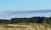 Excursión  Chanaleilles - Étape quatre Aumont Aubrac,  - Photo 1