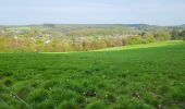 Tour Wandern Paliseul - Our Opont 090524 - Photo 4