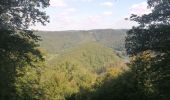 Tour Wandern Bouillon - Belle rando très sportive au départ de Rochehaut  - Photo 12