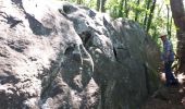 Trail Walking Magny-les-Hameaux - bois des roches - Photo 14