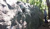 Randonnée Marche Magny-les-Hameaux - bois des roches - Photo 14