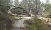 Trail Walking Noisy-sur-École - noisy sur École  - Photo 1