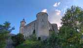 Tour Wandern Lussan - de Lussan aux Concluses - Photo 1