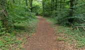 Trail Walking Cheptainville - Forêt Régionale de Cheptainville  - Photo 19