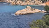 Excursión Senderismo Bandol - Bandol à Port d’Alon, retour par les Engraviers - Photo 6