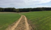 Trail Walking Grez-Doiceau - Essai Heze- Cocrou - Photo 1