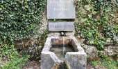 Trail Walking Doische - Promenade de la Bonne-Fontaine   - Photo 8
