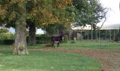 Tour Mountainbike Namen - Circuit des fermes de Hesbayes - Photo 18