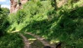 Trail Horseback riding Obersteinbach - autour d'Obersteinbach - Photo 9