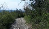 Trail Walking Hotton - Melreux (Hotton) - Photo 3