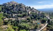 Tour Wandern Gordes - Gordes - Abbaye de Senanques 13km - Photo 13