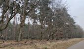 Trail Walking Maasmechelen - La balade des Terhills  - Photo 9