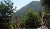 Trail On foot Mangone - (SI U23) Piano Lago - Casellone Forestale di Monte Cocuzzo - Photo 2